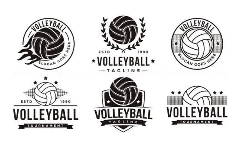 九游j9登录入口首页顺丰足球运动员赵丽娜：个人简历、成就与比赛经历|百度SEO优化标题