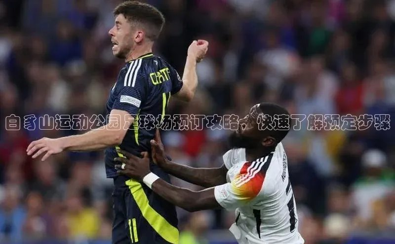 九游会ag老哥俱乐部入口百度数据开放平台白豸山运动公园足球场预订攻略，快速了解预定步骤