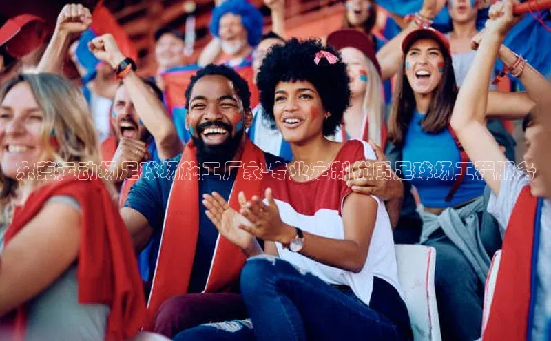 九游娱乐在线登入人口百家号东莞运动场足球场施工厂家-专业定制优质足球场工程服务