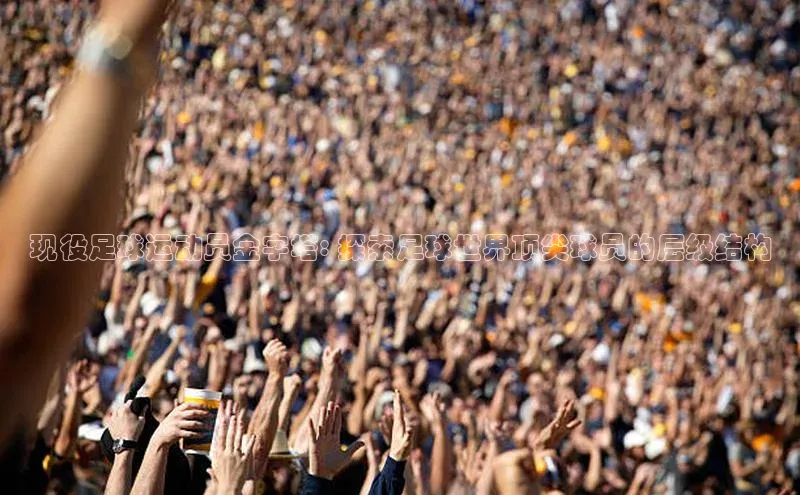 j9九游会-真人游戏第一品牌神思电子现役足球运动员金字塔: 探索足球世界顶尖球员的层级结构