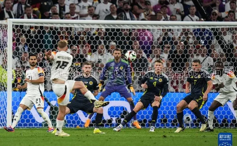 东莞体育运动竞技赛事：体育与城市融合的无限可能