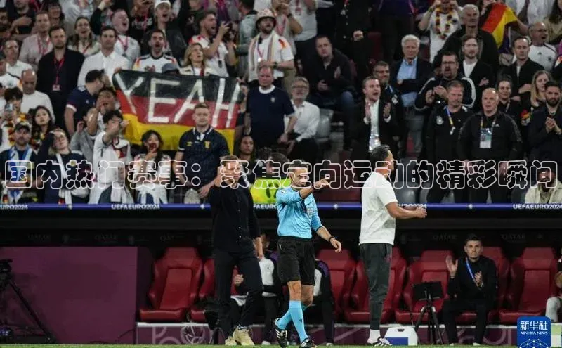 国内热门赛事：聚焦定向运动的精彩瞬间