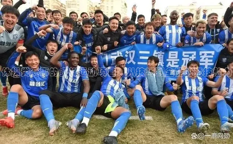 体操类赛事的多样运动项目：从技巧到全能的竞技魅力