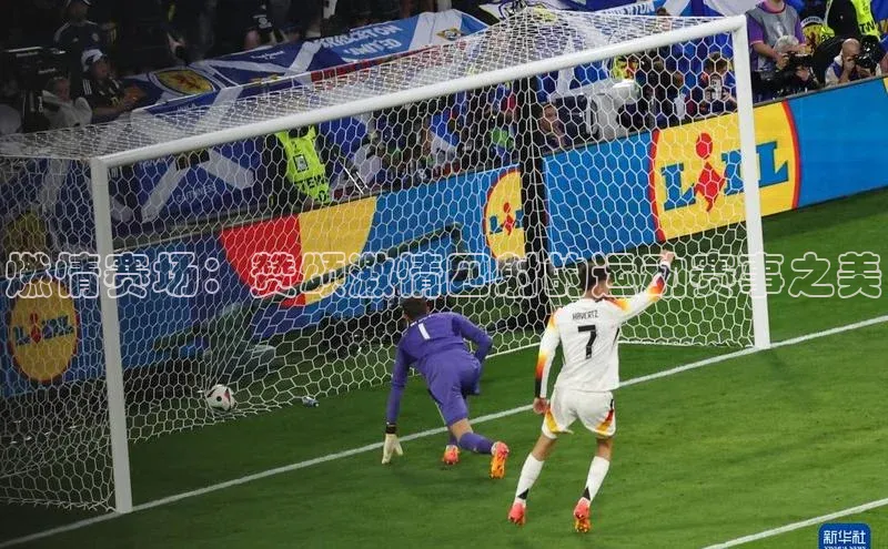 燃情赛场：赞颂激情四射的运动赛事之美