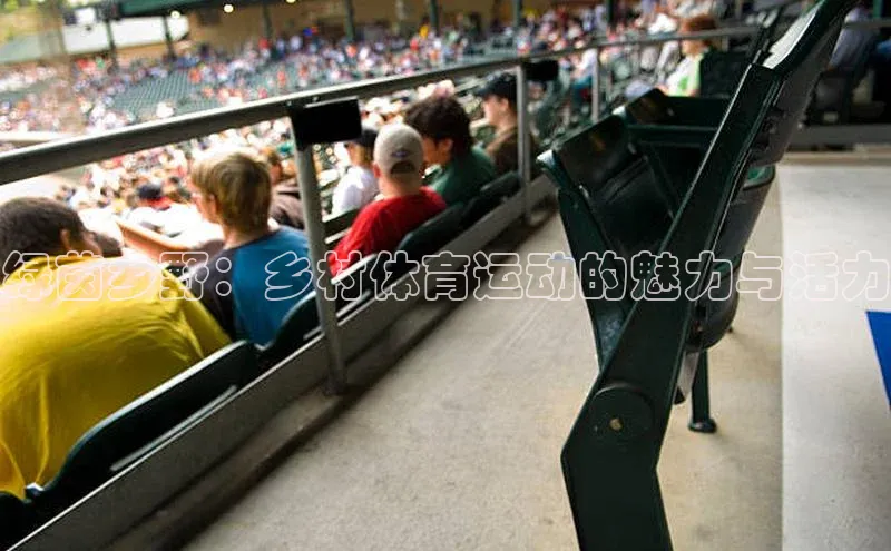 绿茵乡野：乡村体育运动的魅力与活力