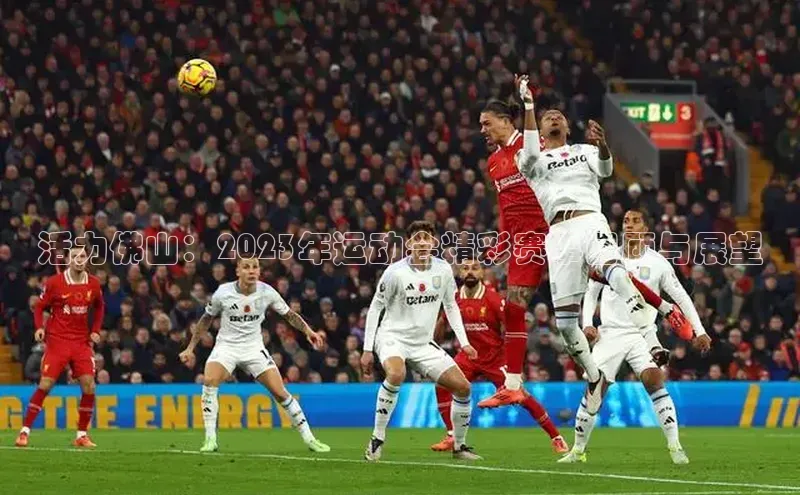 活力佛山：2023年运动会精彩赛事回顾与展望