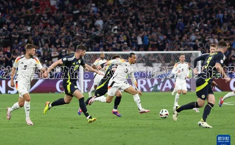 冰与雪的激情：冰雪运动赛事分类详解