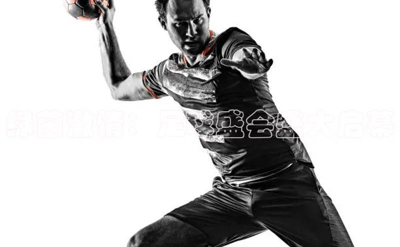 绿茵激情：足球盛会盛大启幕