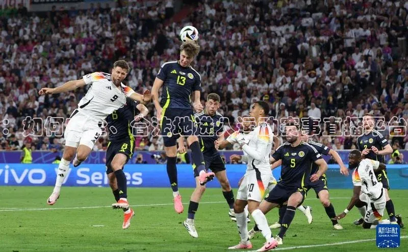 ：如何安全、合法地进入运动赛事直播平台