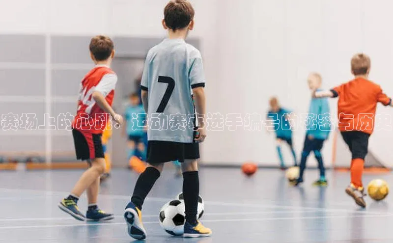 赛场上的心跳：运动赛事选手编号的秘密与历史