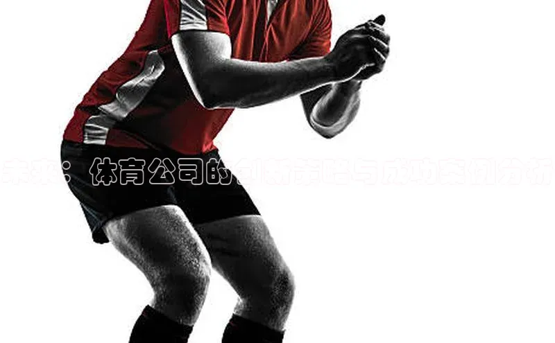 未来：体育公司的创新策略与成功案例分析