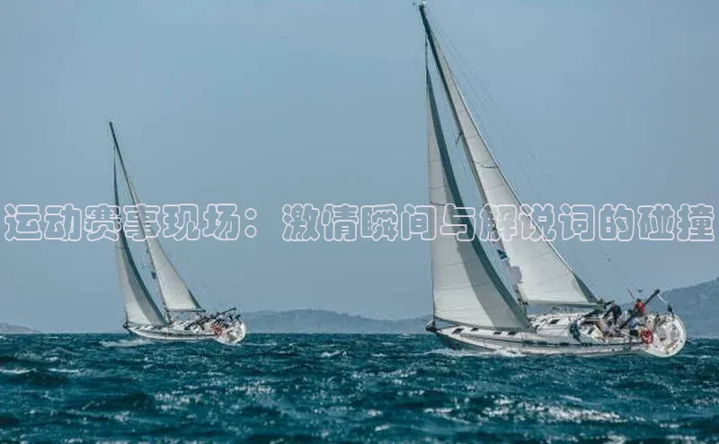 运动赛事现场：激情瞬间与解说词的碰撞